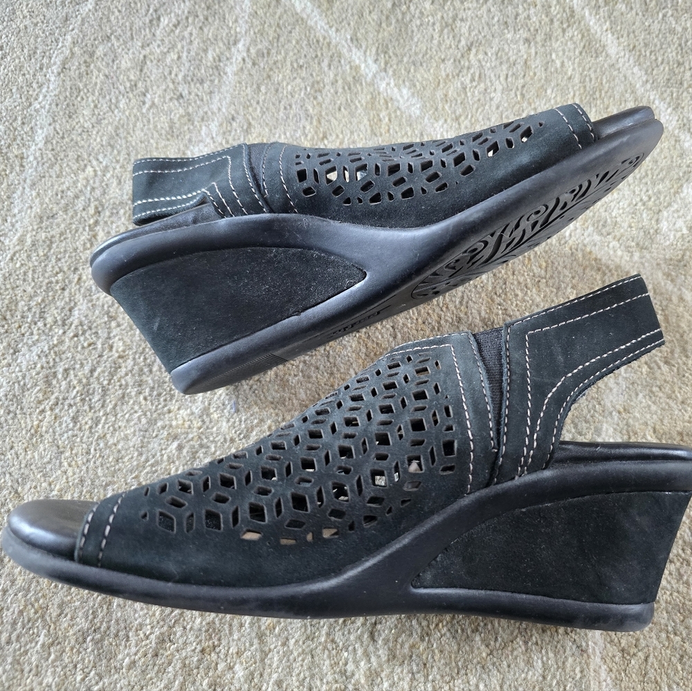 Earth wedges